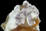 Calcite, Galena, Fluorite & Celestine (Celestite) Association - Tennessee #103941-3